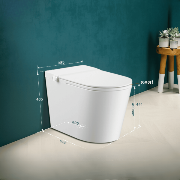Mira - Intelligent Toilet - Image 3