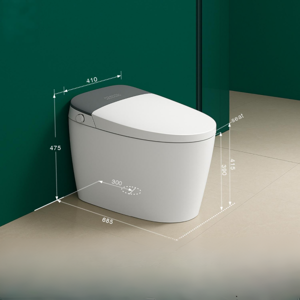 Pontus - Intelligent Toilet - Image 1