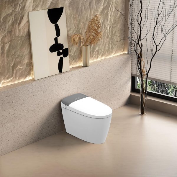 Pontus - Intelligent Toilet - Image 2