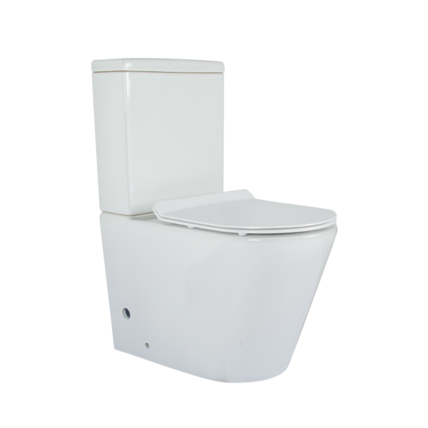 Ran - Back To Wall Toilet - Image 3